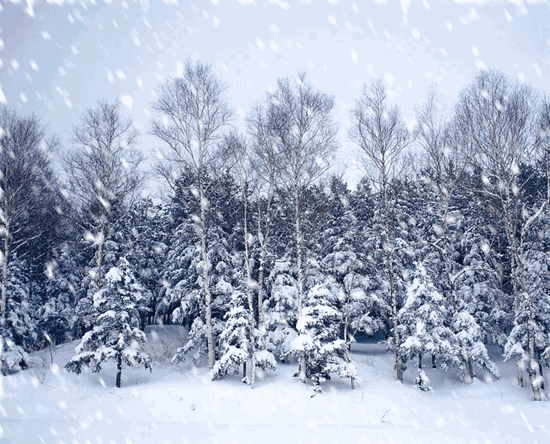 翡翠下雪,也是一种意境的美!