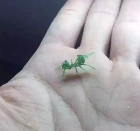 雕刻师把翡翠雕成了蚂蚁,没想到会这么生动!