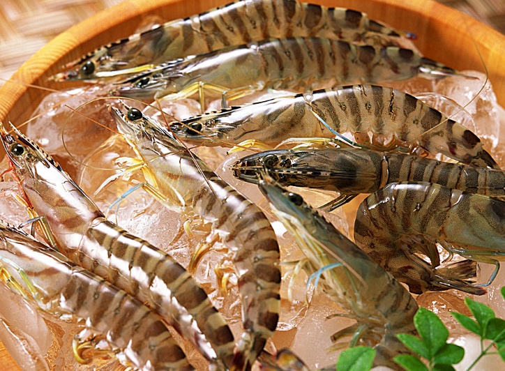 翡翠虾才是真正的天价虾,它的寓意你知道吗?