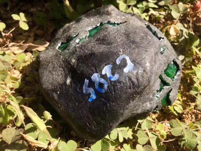 网友发文称在不信路边花丛能捡到帝王绿的翡翠原石,送去专家鉴定