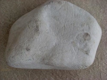 最上等莫西沙翡翠原石皮壳表现图解
