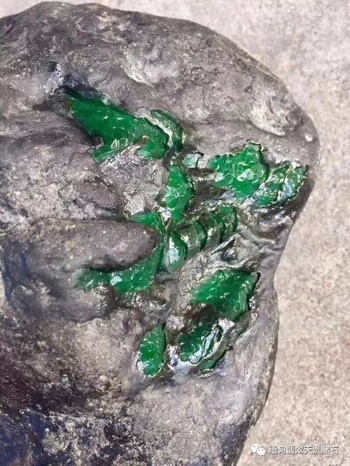 莫湾基翡翠原石,最顶级的帝王绿