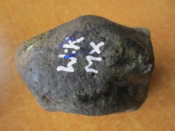 为什么都喜欢莫西沙翡翠原石 这块莫西沙的原石,大概能达到什么种水,3斤,4300元,值这个价吗?大神们