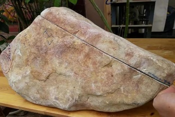 重达59kg的翡翠原石,为探其究竟,切出片片绿意,生机盎然!