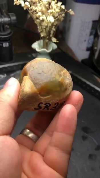 场口的翡翠原石,皮壳和表现你清楚多少?