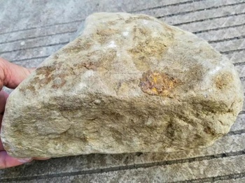 8800拿的翡翠原石切出38条春彩手镯,缅甸的翡翠最值钱?
