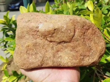 3.9公斤的翡翠原石切开白茫茫一片,但最后还是收获了飘花手镯